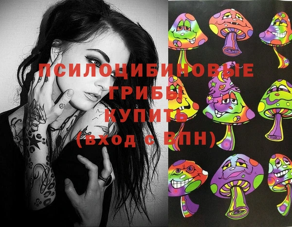 мяу мяу мука Ельня