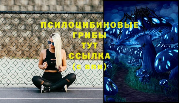скорость Елабуга