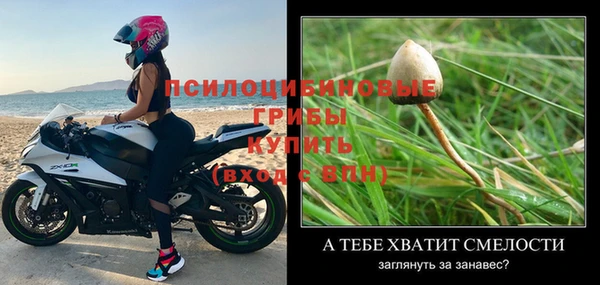 таблы Елизово